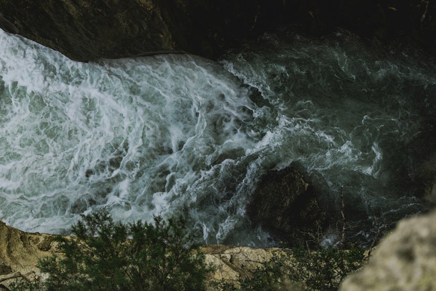 opportunity surge in nova